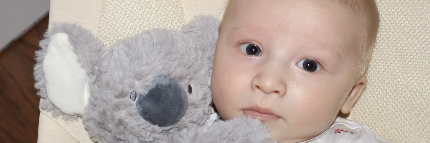 Beau Vlatkovich banner