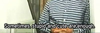 peplo (roikisser) banner
