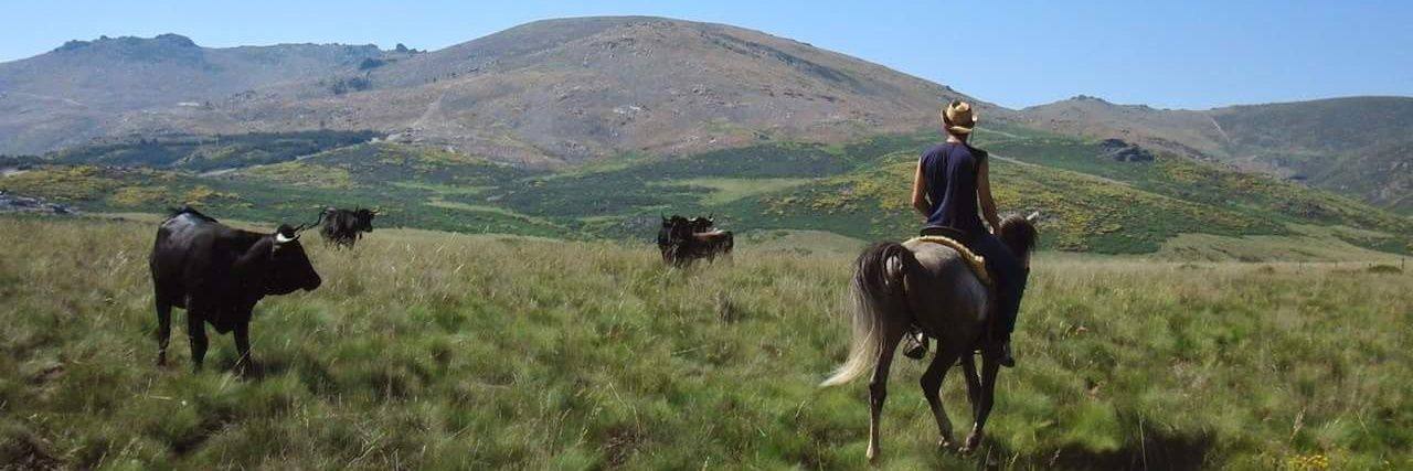 Gredos a Caballo banner