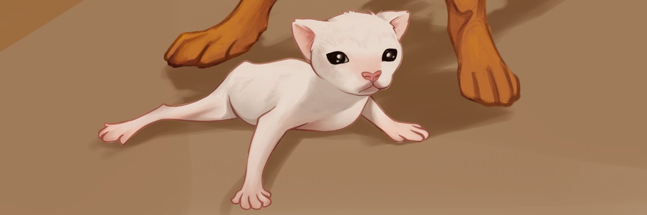 Bluepoodlez's profile banner image