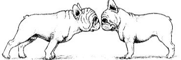 LisaBowles66's profile banner image