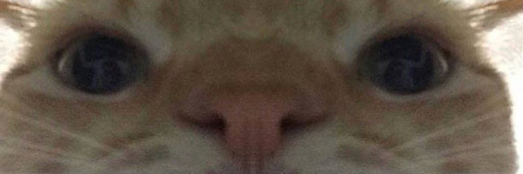 Silvetape's profile banner image
