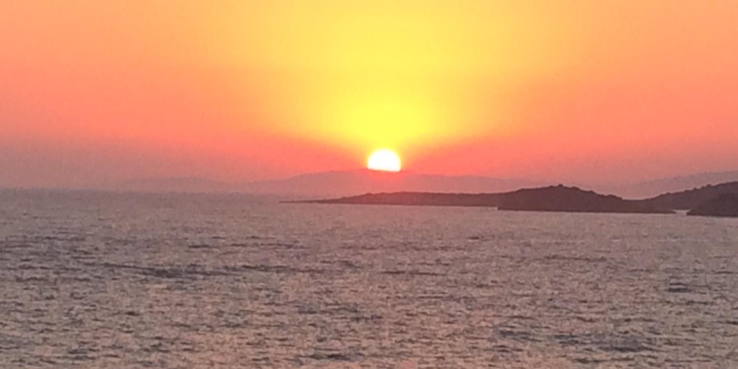 Louise Palmer banner