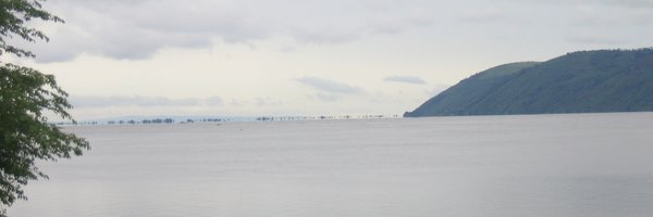 AlfnsArag Profile Banner