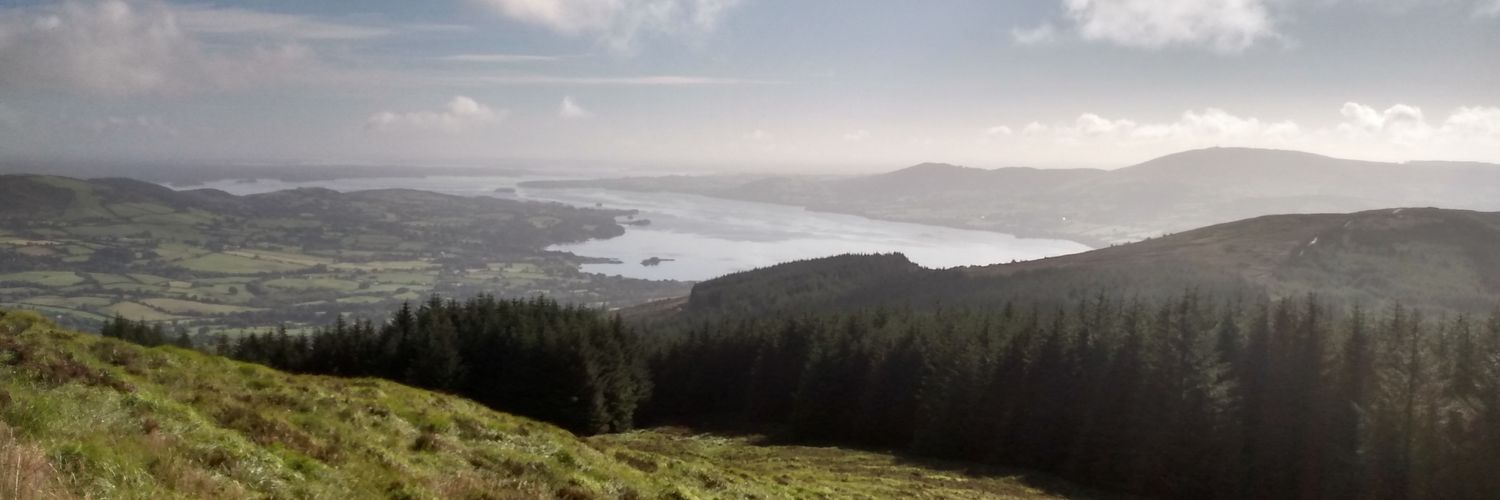 BoscoClarke's profile banner image