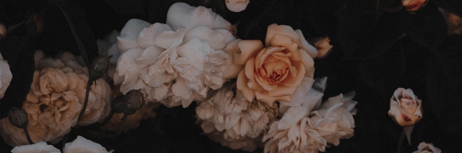 siighko's profile banner image