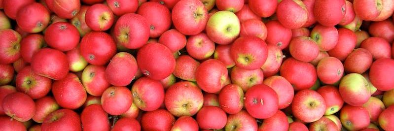 London CiderDrinkers banner