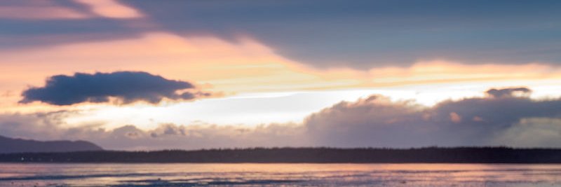 CascadiaWeekly's profile banner image