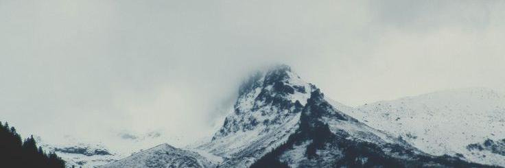 seechelci's profile banner image