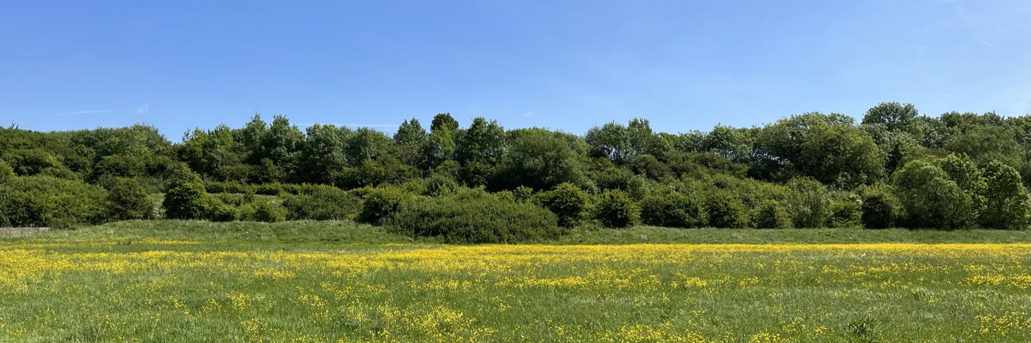 (Ex-Viscount) Ken 🇪🇺🌻💚 banner