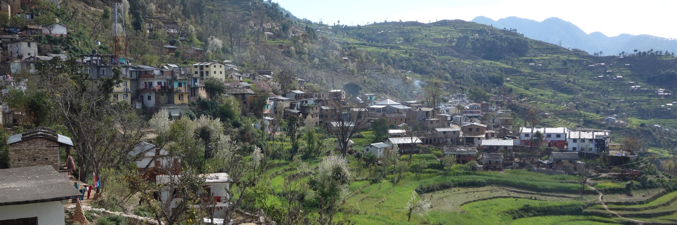 Monica Biradavolu banner