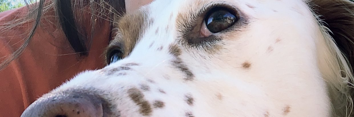 ellacabe6's profile banner image