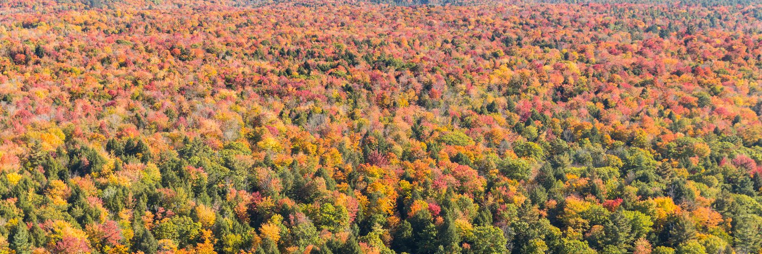 Nature's Packaging banner