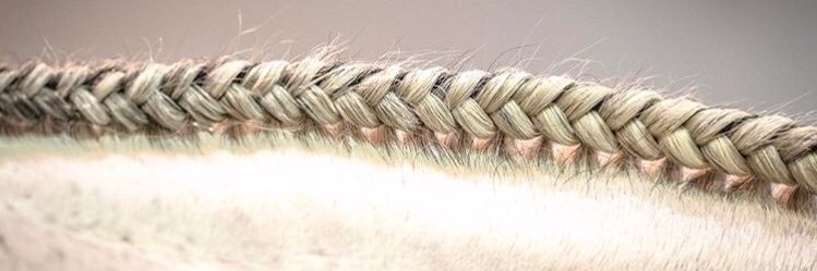 lilstrobe's profile banner image