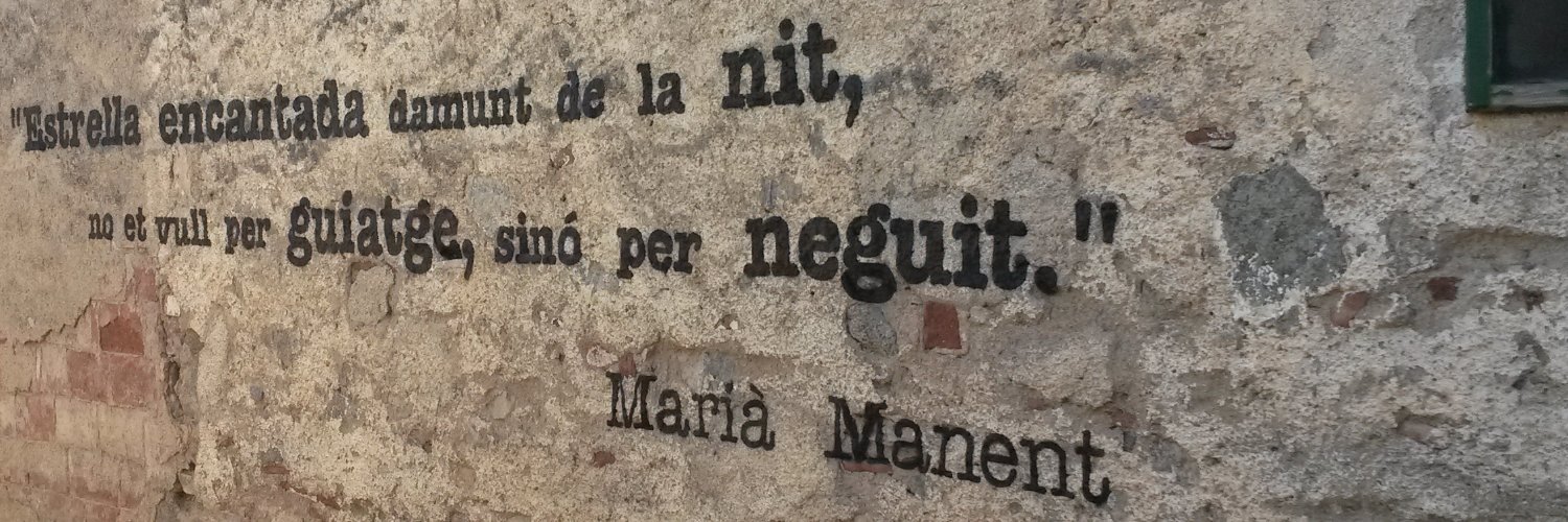 Jordi Valls Olivé banner