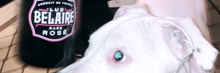 AllOutMitch's profile banner image