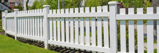 ArbocareTree_Su's profile banner image