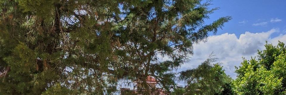 tortibrezel's profile banner image