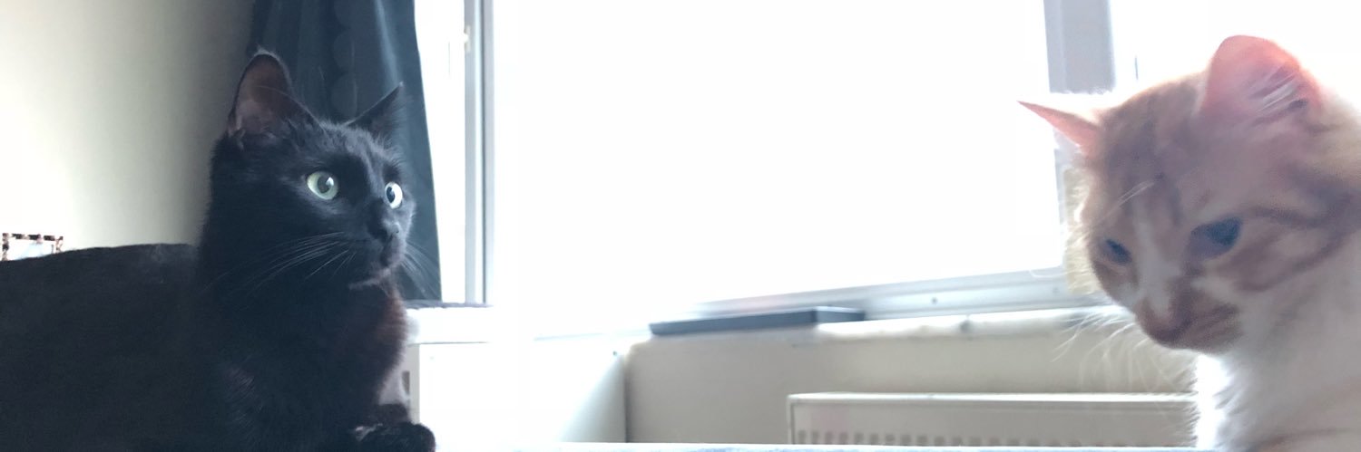 BurGerEk's profile banner image