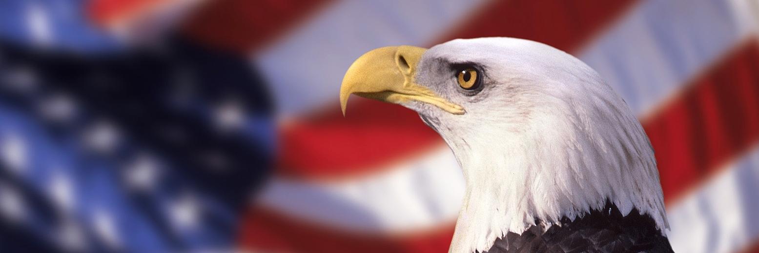 Stoat ن 🐸 🥓🇺🇸 🌲 banner