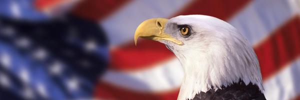 Furrystoat Profile Banner