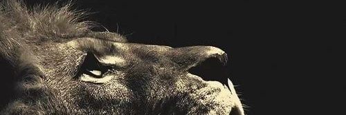 bilachhuka's profile banner image