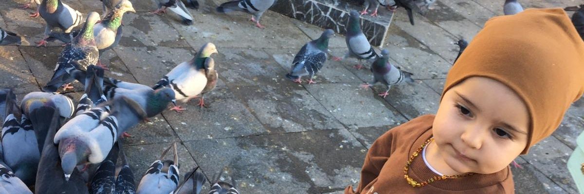 sercanerdogan97's profile banner image