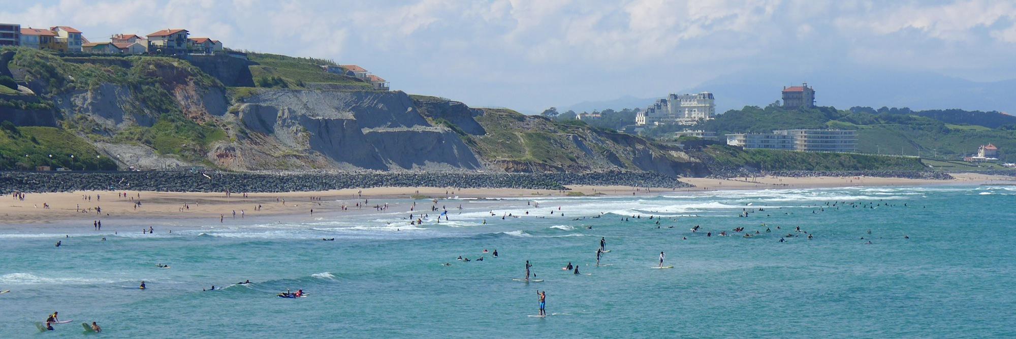 Michelle Pearson banner