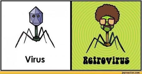 Alexis Lucattini banner