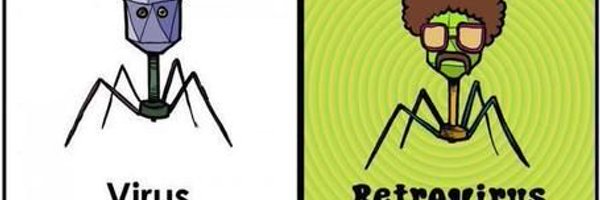 Lexisomes Profile Banner