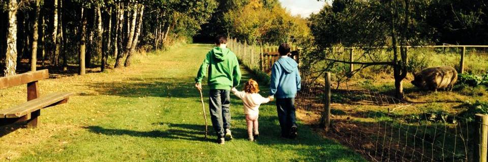 Jennifer Jones MBE banner
