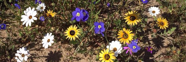 Baygallerylbn Profile Banner