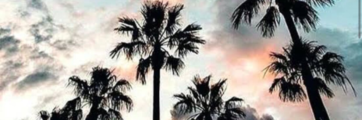 jesswebeer's profile banner image