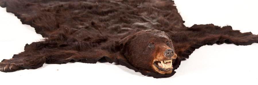 Bearrugging's profile banner image