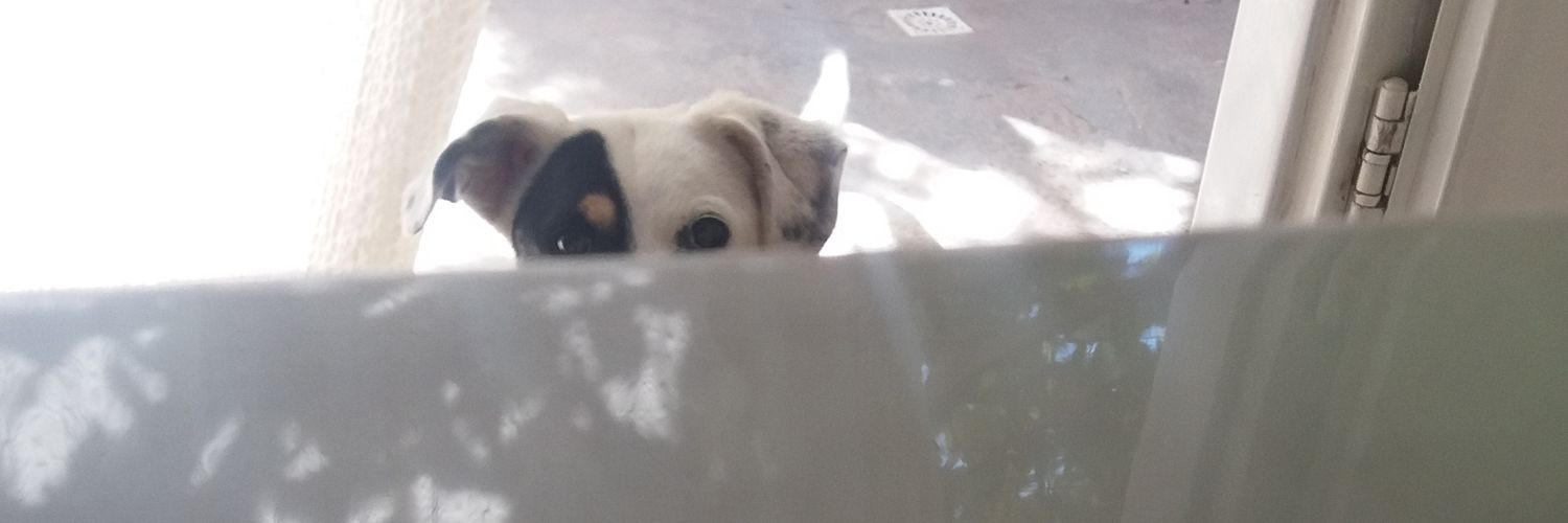 terceritos's profile banner image