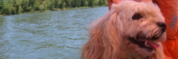 skatrbrain's profile banner image