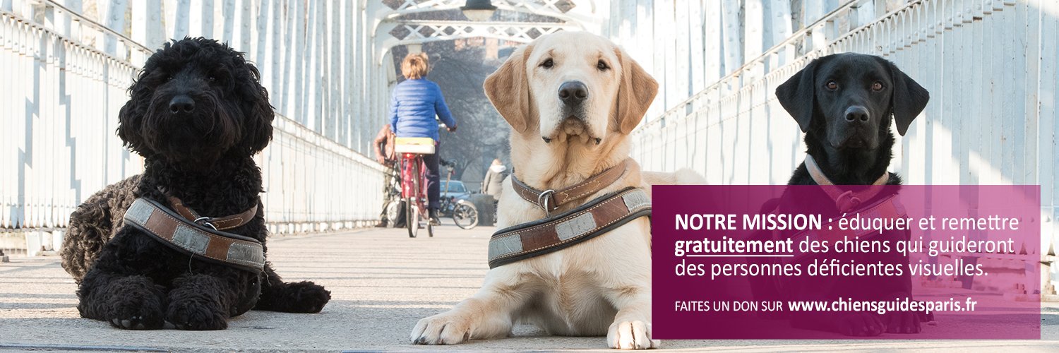 Chiens Guides Paris banner
