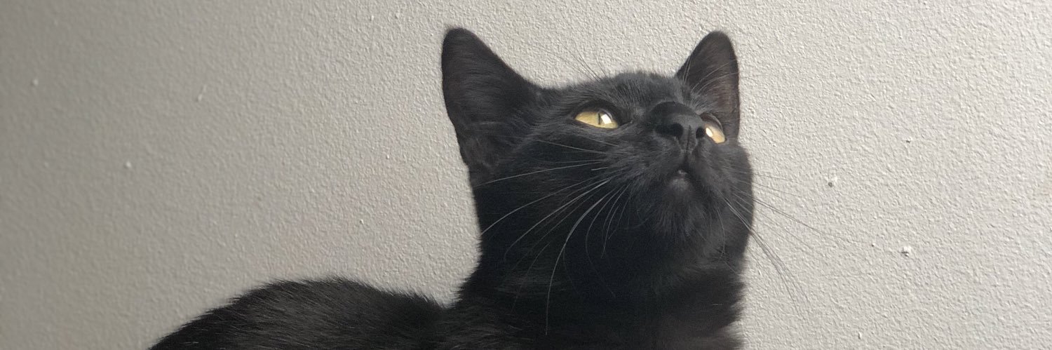 Alexkalex_'s profile banner image