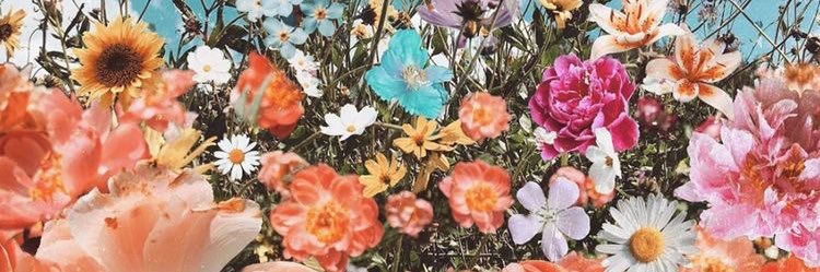 em :) banner