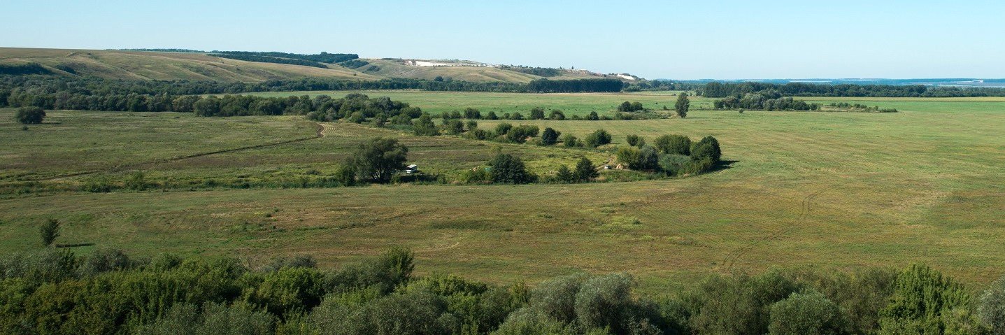 Yakov Kuzyakov . . . priming Soil Science's banner