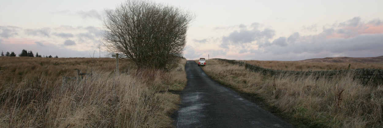 UkeTango's profile banner image