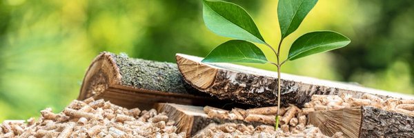 caryse1 Profile Banner