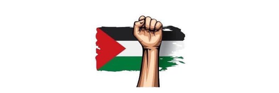 hamdy banner