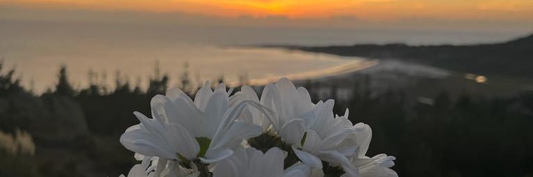 Belém #mulher banner