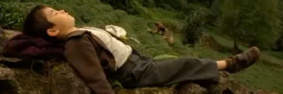 Doğan Yıldırım banner