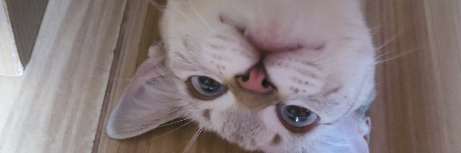 ferdrgsm's profile banner image
