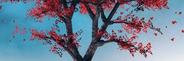 abdaloun's profile banner image