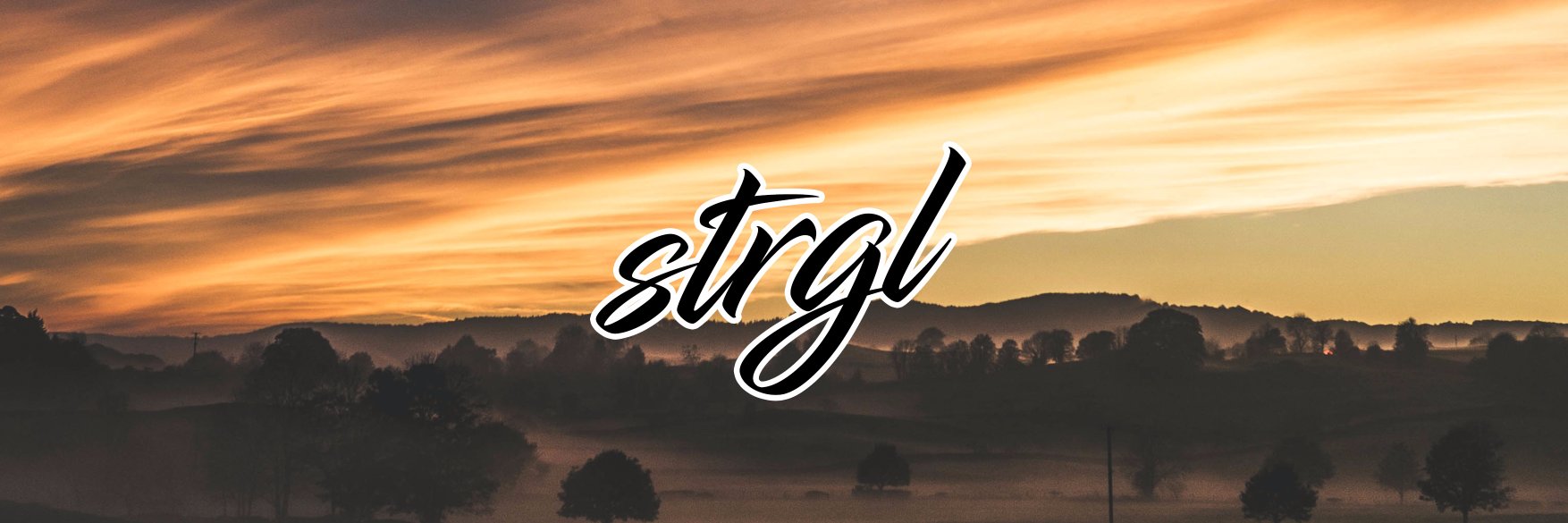 iamstrgl's profile banner image