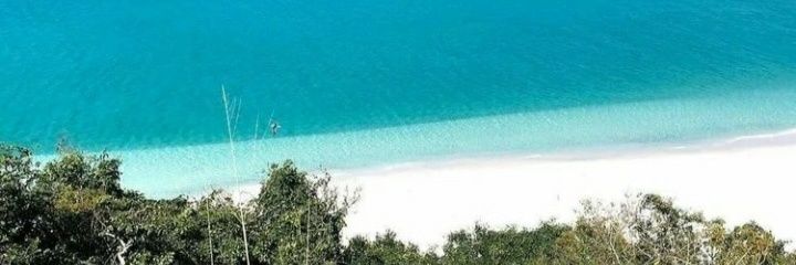 bentofd's profile banner image