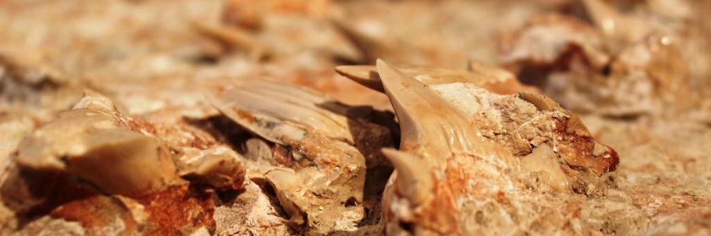 MuseoSantAnna's profile banner image